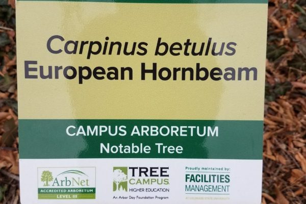 Campus wide Arboretum program was created along with Notable tree walk