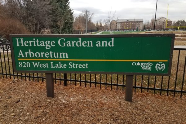 New entrance was created for the arboretum